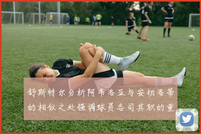 舒斯特尔分析阿韦洛亚与安切洛蒂的相似之处强调球员各司其职的重要性