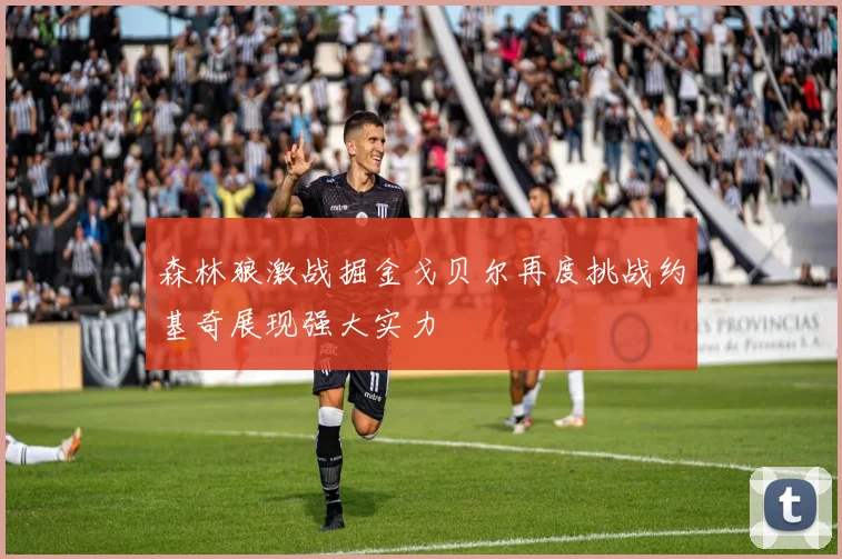 森林狼激战掘金戈贝尔再度挑战约基奇展现强大实力